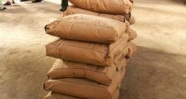 Pakistan’s cement exports to Afghanistan decline by 58%