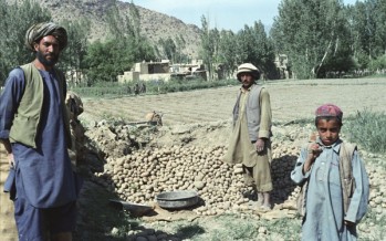 Afghan Agriculture Ministry builds over 500 potato storages in Bamyan