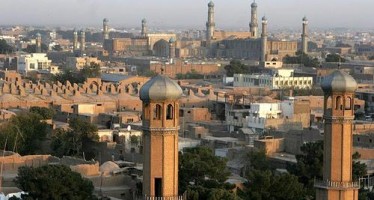 Herat’s Revenue Sees a Boost