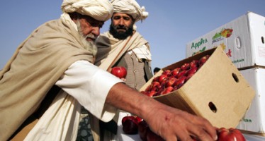 Afghanistan’s Exports Rise By 32%