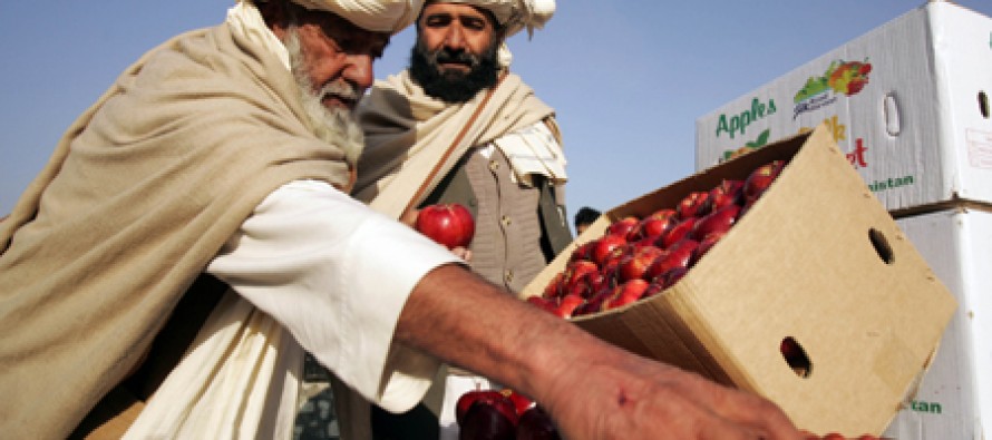 Afghanistan steps up work to strengthen export sector