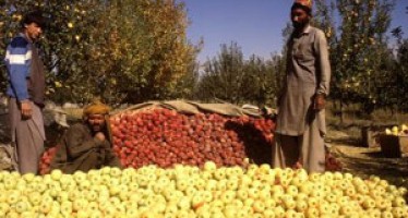 Problems of Baghlan farmers not addressed