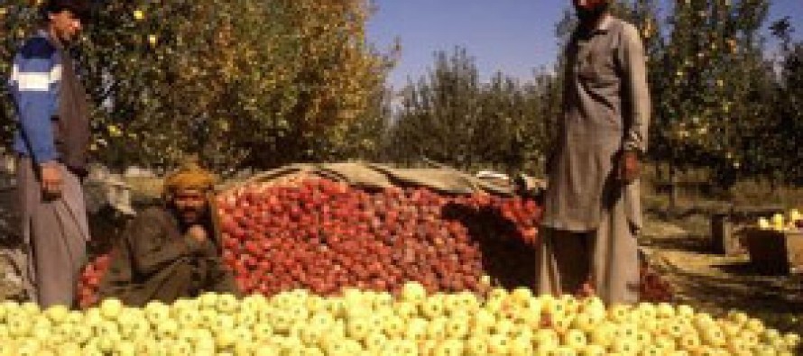 Problems of Baghlan farmers not addressed