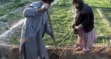 Standardizing agriculture system in Balkh province of Afghanistan