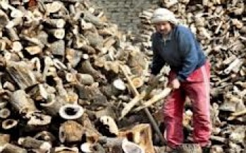 Firewood prices soaring in Kabul