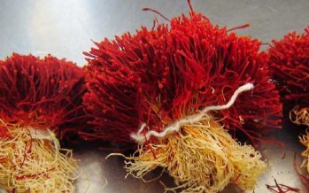 Over 4 tons of Afghan saffron exported to foreign countries