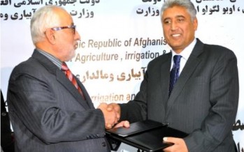 Kabul to witness 300 agriculture projects