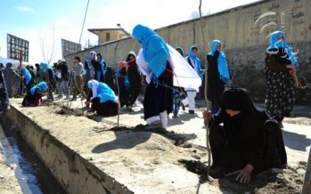 Afghan women participate in the tree planting campaign