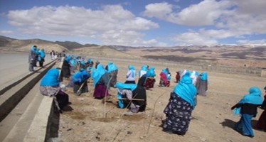 Bamyan women participate in tree planting campaign