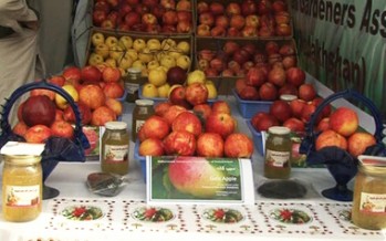 Kandahar Fruit Exporters Face Problems from Pakistan Amid Fruit Harvests