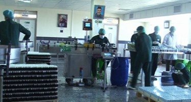 Herat Factories Struggling to Compete with Imports