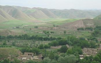 Afghan government to rehabilitate pistachio forests in Badghis province