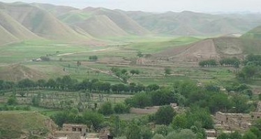 Pistachio products likely to increase in Baghlan