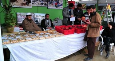 Afghan companies showcase their agro products