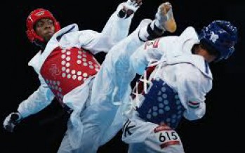 Afghanistan cannot attend 2013 World Taekwondo Championship due to visa issues