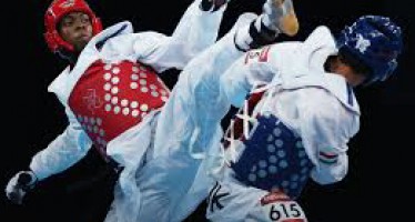 Afghanistan cannot attend 2013 World Taekwondo Championship due to visa issues