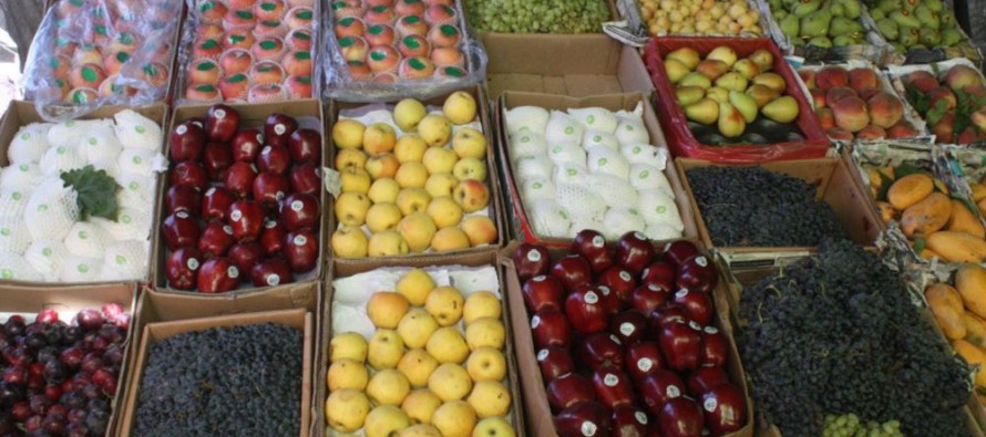 European Union funds fruit quality center in Balkh province