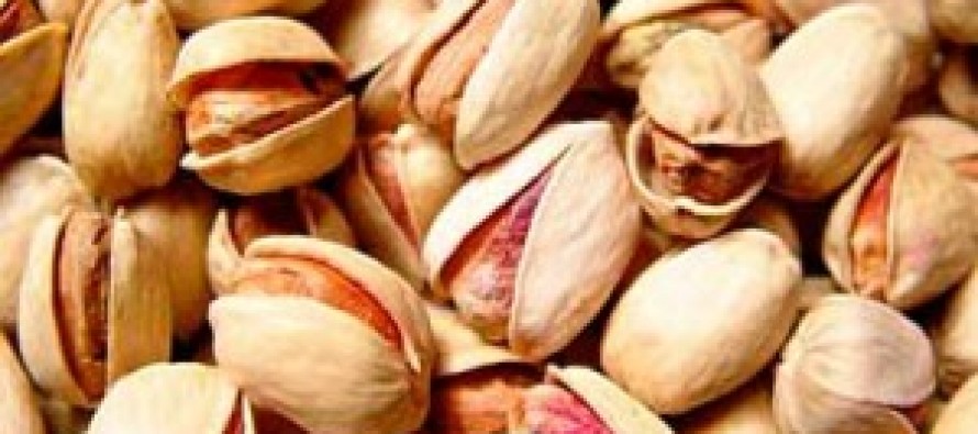 Kandahar Produces Five Tons of Pistachios This Year
