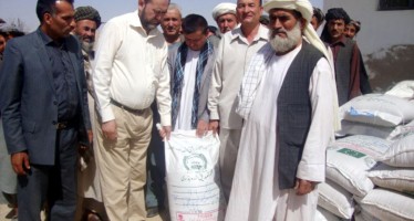 Distribution of improved seeds and fertilizer to launch in Logar province