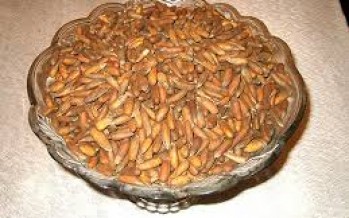 Afghanistan’s Pine Nuts Production Up By 10% This Year
