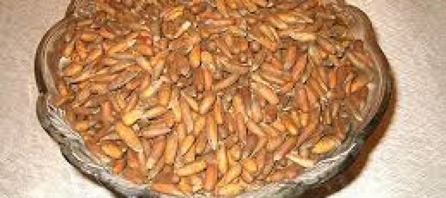 Afghanistan To Export $2.2bn Worth of Pine Nuts To China