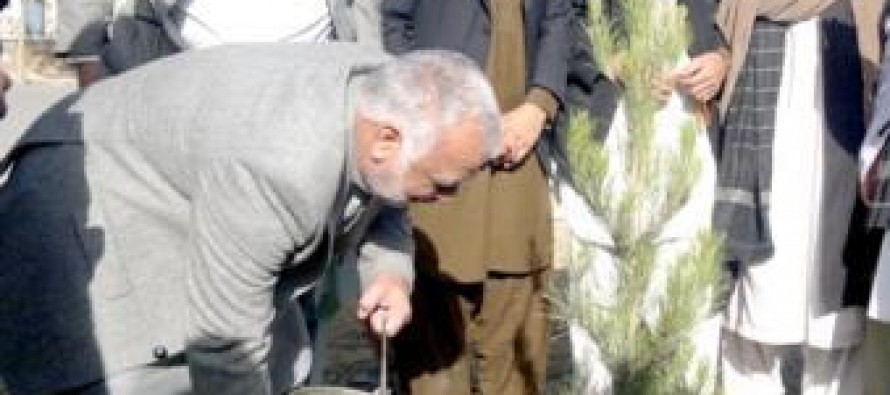 Spring tree-plantation drive begins in Helmand