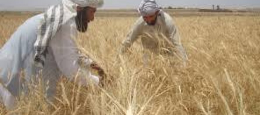 economy afghanistan wadsam pace pick agriculture afghan apr