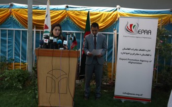 Afghanistan Carpet Center of Excellence to be established