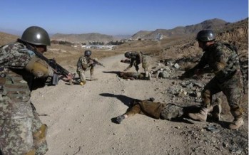 International community must stay committed to Afghan support-UN