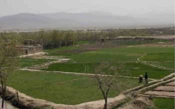 Agriculture as a Growth Industry in Afghanistan: Challenges and Possibilities