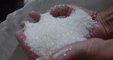 New Baghlan Sugar Company produces 570 tons of sugar
