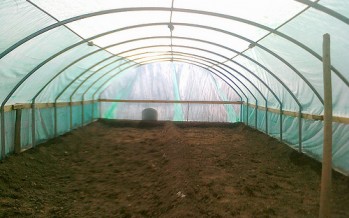 World Bank funds 8 greenhouses in Uruzgan province