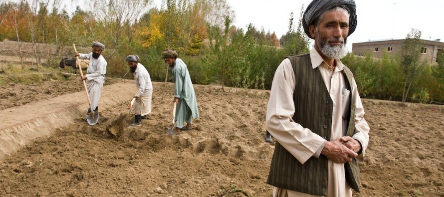 Afghan farmers receive new agriculture machineries | Wadsam