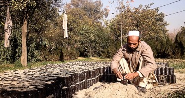 Orchards set up for Afghan men and women to earn income