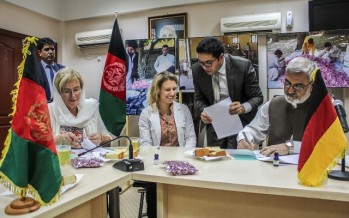 “Roses for Nangarhar” – an alternative to poppy cultivation