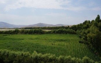 Japan’s irrigation scheme transforms Nangarhar’s desert