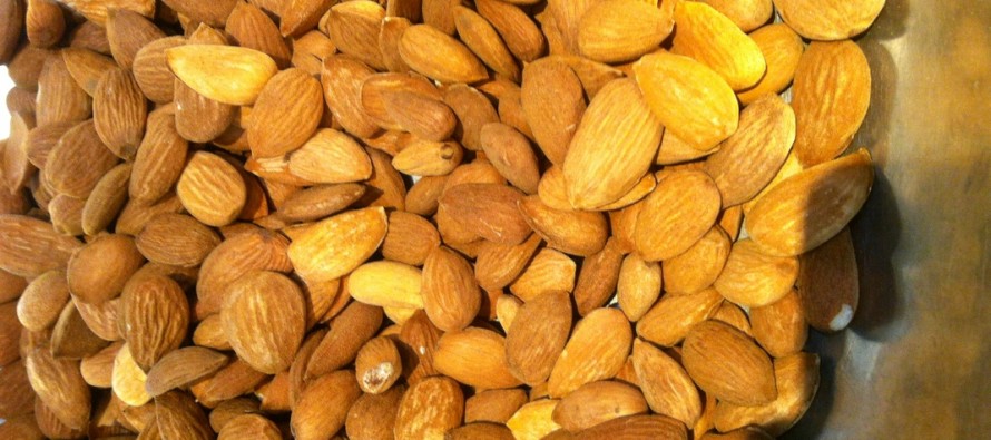 Almond production quadruples in Samangan, prices edge down
