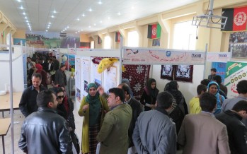 Road shows help Afghan poultry sector find new investors