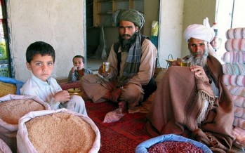 Poverty Reduction in Afghanistan: Despite Economic Growth, Widening Inequality