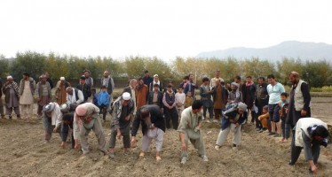 Afghan farmers receive training on modern farming techniques