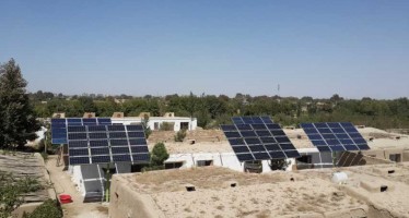 Solar powered hatchery in Balkh to increase poultry production