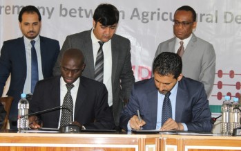 Afghanistan receives $6mn in loan for agriculture development