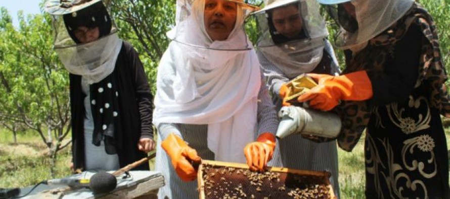 Afghanistan becoming self-reliant in honey production