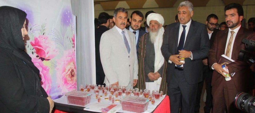 Saffron cultivated lands in Afghanistan up by 800 hectares this year