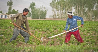 EU to provide $2.5mn to promote agricultural technology in Afghanistan