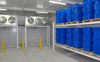 Afghan government to build 248 cold storage facilities