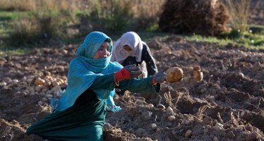 Women’s Contributions to Agriculture Economy in Afghanistan Need Recognition