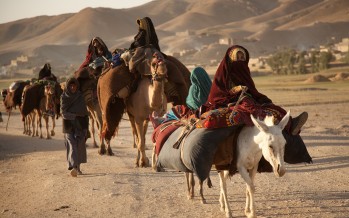 Preliminary Findings of a Nomad-Farmer Conflict Study Released in a Report