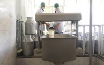 Milk processing complex worth $12mn to be built in Kabul