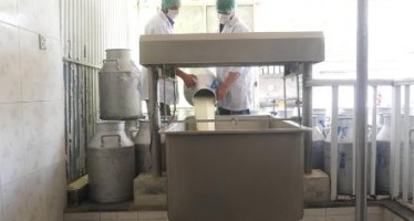 Milk processing complex worth $12mn to be built in Kabul
